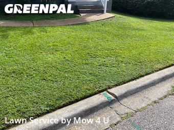 Grass Cut nearby Tallahassee, FL, 