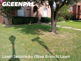 Grass Cutting nearby Keller, TX, 