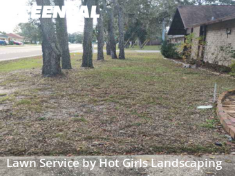 Grass Cutting nearby Spring Hill, FL, 