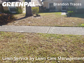 Grass Cut nearby Brandon, FL, 