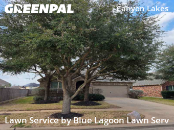 Lawn Maintenancein Cypress,77433,Lawn Maintenance by Blue Lagoon Lawn Serv, work completed in Jun , 2026