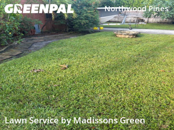 Yard Upkeep in West Palm Beach, 33407, Yard Upkeep by Madissons Green, work completed in Nov , 2025