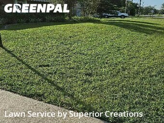 Yard Mowing nearby Spring Hill, FL, 