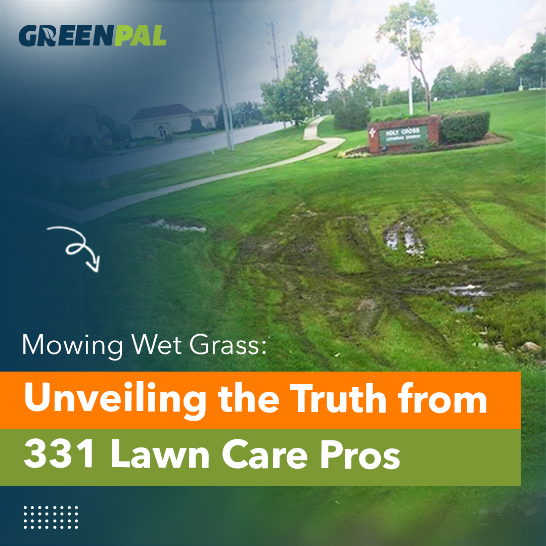 Can I mow wet grass 331 Lawn Care Pros Expose The Truth GreenPal