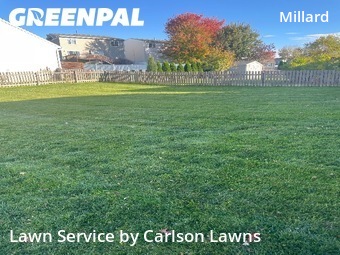 Landscape Design In Omaha,68135,Landscapers by Carlson Lawns, work completed in Nov , 2025