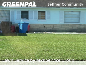 Lawn Care nearby Brandon, FL, 