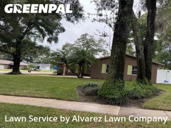 Lawn Maintenancein Altamonte Springs,32714,Lawn Mowing by Alvarez Lawn Company, work completed in Dec , 2025
