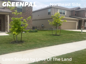 Lawn Cut nearby Converse, TX, 