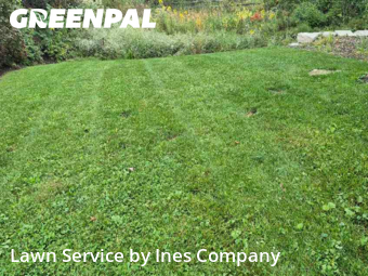 Lawn Service nearby Downers Grove, IL, 