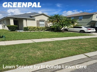 Grass Cut nearby Kissimmee, FL, 