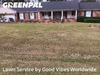 Yard Care in Albany, 31721, Grass Services by Good Vibes Worldwide, work completed in Nov , 2025