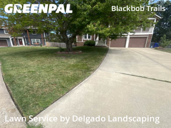 Yard Cutting nearby Olathe, KS, 