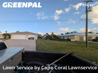 Lawn Mowing nearby Cape Coral, FL, 