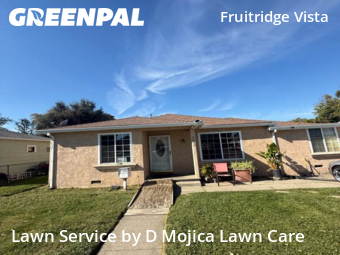 Landscaper In Sacramento,95824,Landscaping Cleanup by D Mojica Lawn Care, work completed in Oct , 2025