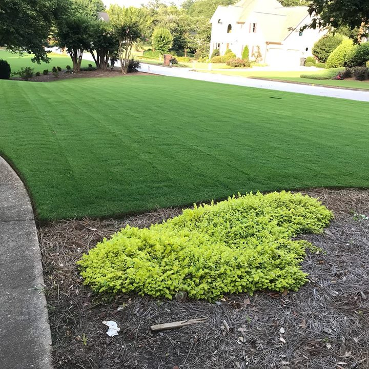 Lawn Care Service in Corryton, TN, 37806