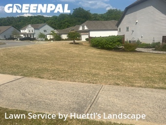 Lawn Mow nearby Cumming, GA, 