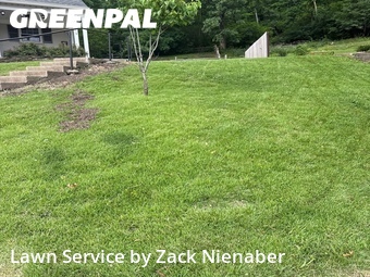 Grass Cut nearby Cincinnati, OH, 