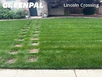 Work completed by affordable-landscaping-maintenance-services-in-Lincoln-CA