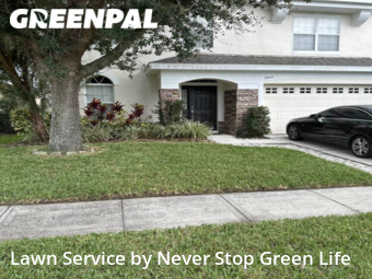 Lawn Mowing nearby Orlando, FL, 