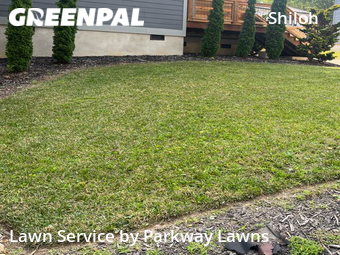 Lawn Mow nearby Asheville, NC, 