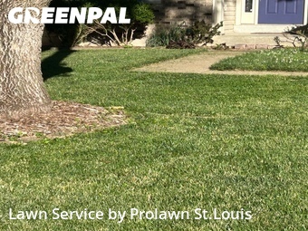 Lawn Cutting nearby Maryland Heights, MO, 