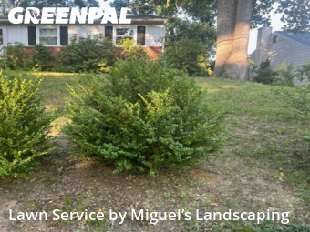 Lawn Maintenance nearby Annapolis, MD, 
