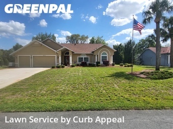 Lawn mowed in Spring Hill, 34609