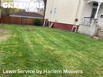 Lawn Cut nearby Newark, NY, 