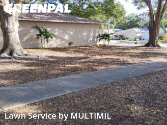 Grass Cutin Palm Harbor,34684,Lawn Service by MULTIMIL , work completed in Dec , 2025