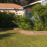 cheap-lawn-cutting-businesses-in-Blaine-MN