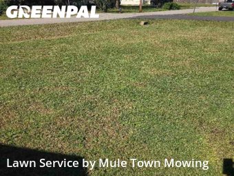 Grass Services in Columbia, 38401, Lawn Services by Mule Town Mowing , work completed in Nov , 2025