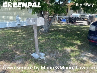 Lawn Cutting nearby St. Petersburg, FL, 