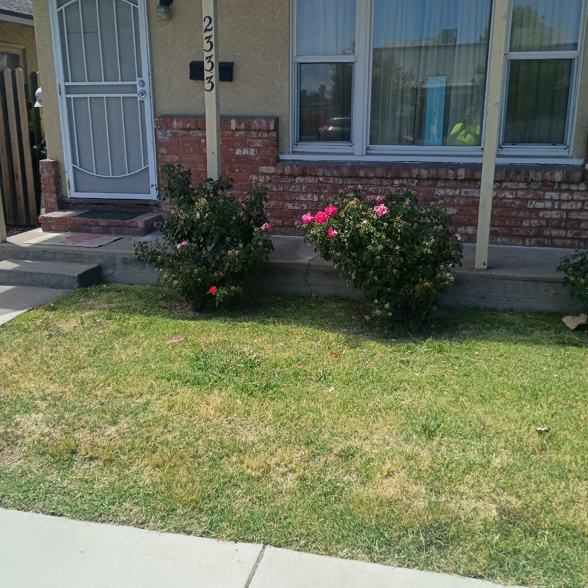 Lawn mowing work by Three Pillars Landsca in Rocklin, CA