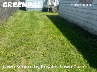 Lawn Mow nearby Indianapolis, IN, 