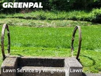 Lawn Service nearby Lexington, KY, 