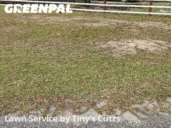 Lawn Mow nearby Valdosta, GA, 