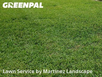Lawn Service nearby Tavares, FL, 