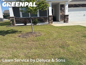 Lawn Mowing nearby Simpsonville, SC, 