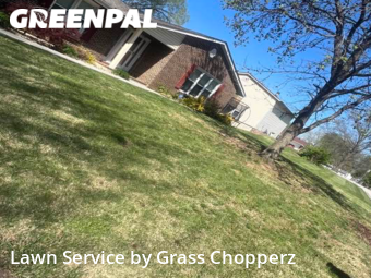 Grass Cut nearby St. Peters, MO, 