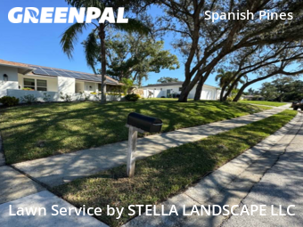Lawn Mow nearby Dunedin, FL, 