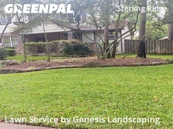 Yard Cutting nearby The Woodlands, TX, 
