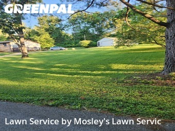 Lawn Cut nearby Clarksville, TN, 