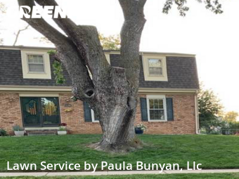 Lawn Mowing Service nearby Papillion, NE, 