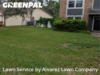 Lawn Carein Pine Hills,32818,Lawn Mowing by Alvarez Lawn Company, work completed in Feb , 2026