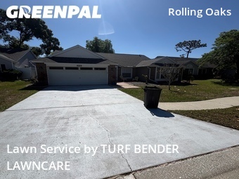 Lawn Cut nearby Tarpon Springs, FL, 