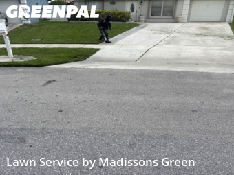 Yard Services in Greenacres, 33463, Yard Work by Madissons Green, work completed in Nov , 2025
