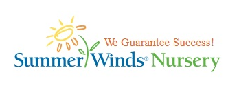 Best Nursery in Sunnyvale California 1