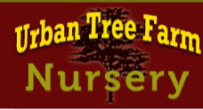 Best Nursery in Santa Rosa California 1