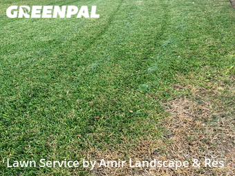 Lawn Care Service nearby Carrollton, TX, 