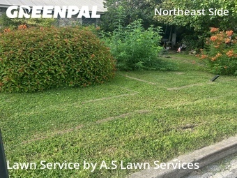 Yard Cutting nearby Converse, TX, 